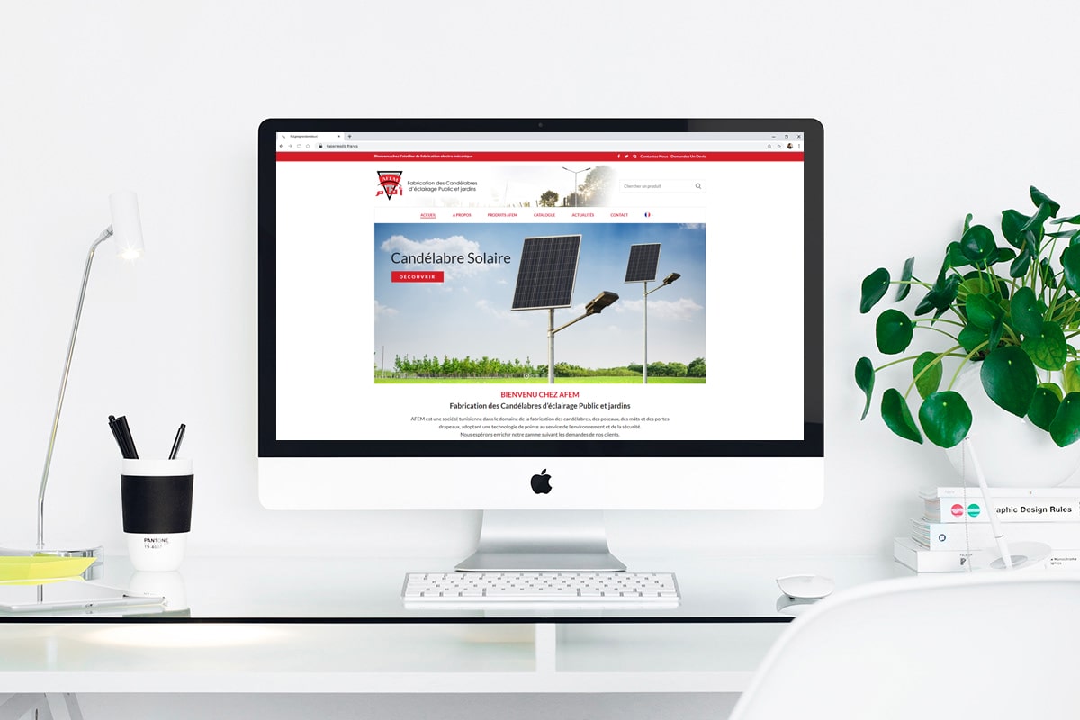 Création d&rsquo;un site web pour : AFEM