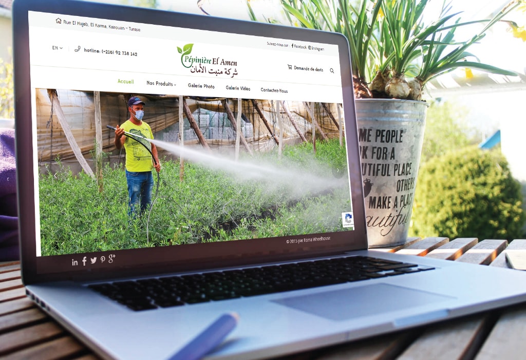 Création d&rsquo;un site web pour : Pépinière El amen